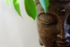 Bản chất đạo Phật bi quan hay lạc quan?