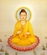 Những câu hỏi thú vị về đức Phật Thích Ca