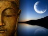 Khía cạnh thực tế của Đạo Phật