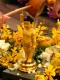 Lược Ý Nghi ThứcTắm Phật Trong Pháp Hội Đản Sanh Phật Giáo Bắc Truyền - Thích Tâm Mãn