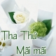 Tha thứ mãi mãi