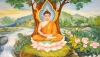 Đường lối tu theo đạo Phật