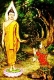 KHÔNG HOAN HỶ KHÔNG SẦU MUỘN