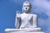 Đạo Phật là đạo bình đẳng tự do tuyệt đối